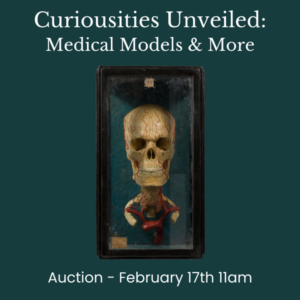 Curiosities Unvieled Auction: Medical Models and More