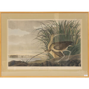 20250606_Showroom-103