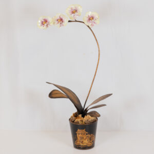 20250606_Showroom-113