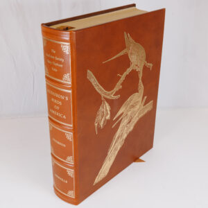 20250829_Showroom-138