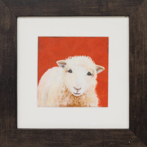 20250829_Showroom-25