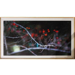 20250829_Showroom-66