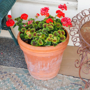 20250912_Showroom-152