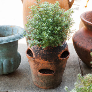 20250912_Showroom-158