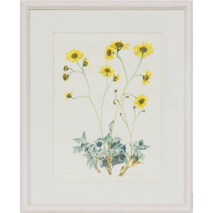 20250912_Showroom-18