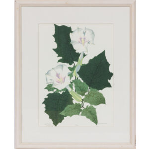 20250912_Showroom-19