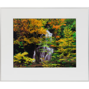 20250912_Showroom-26