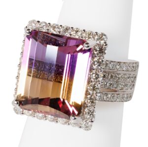 20250912_Showroom_PICKS-23