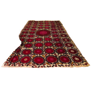 20250926_Showroom_PICKS-8