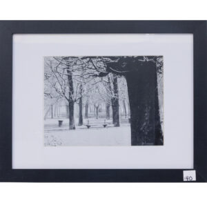 20250926_Showroom_web-142