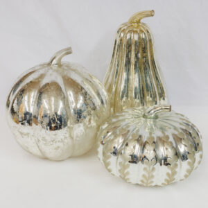 20250926_Showroom_web-158