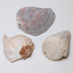 20250926_Showroom_web-58