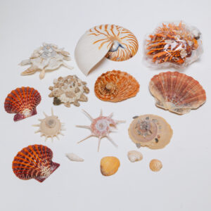 20250926_Showroom_web-59