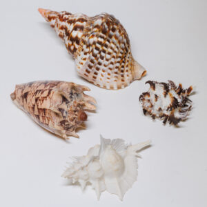 20250926_Showroom_web-60