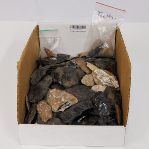 20251008_Showroom-121