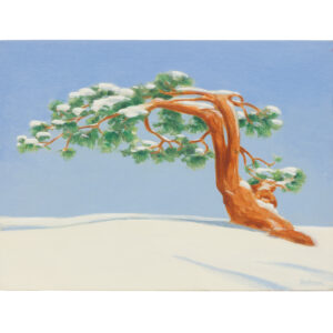 20251008_Showroom-20