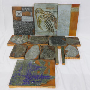 20251013_Showroom-29