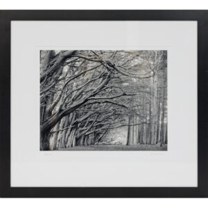 20251024_Showroom-37