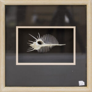 20251107_Showroom-41