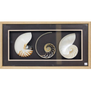 20251107_Showroom-42