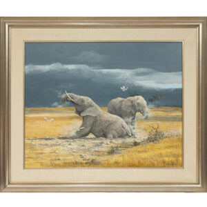 20251126_Showroom_web-85