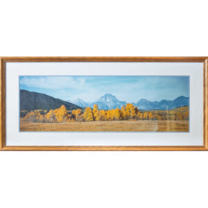 20251126_Showroom_web-88