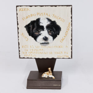 20251212_Showroom-119