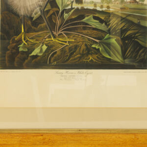 20251212_Showroom-31