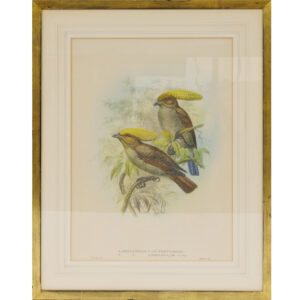 20251212_Showroom-34