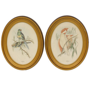 20251212_Showroom-43