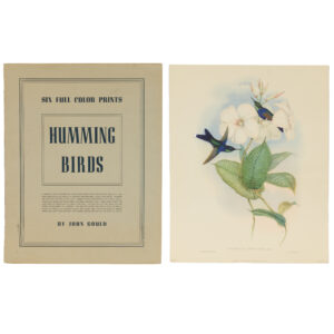 20251212_Showroom-71