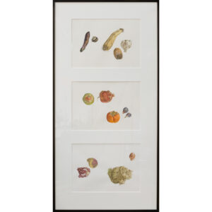 20260102_Showroom_web-102