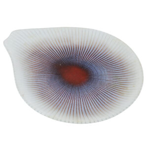 20260105_Showroom_web-13