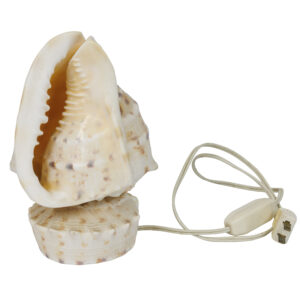 20260105_Showroom_web-60