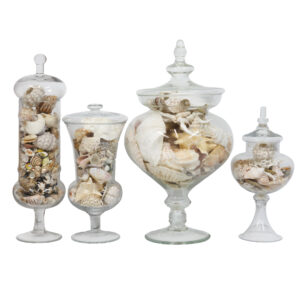 20260105_Showroom_web-9